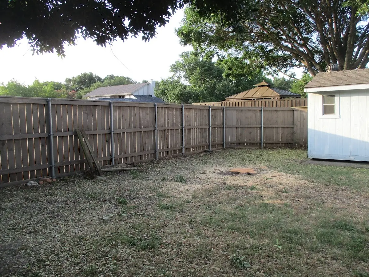 Cleared yard after professional tree removal in Belgrade